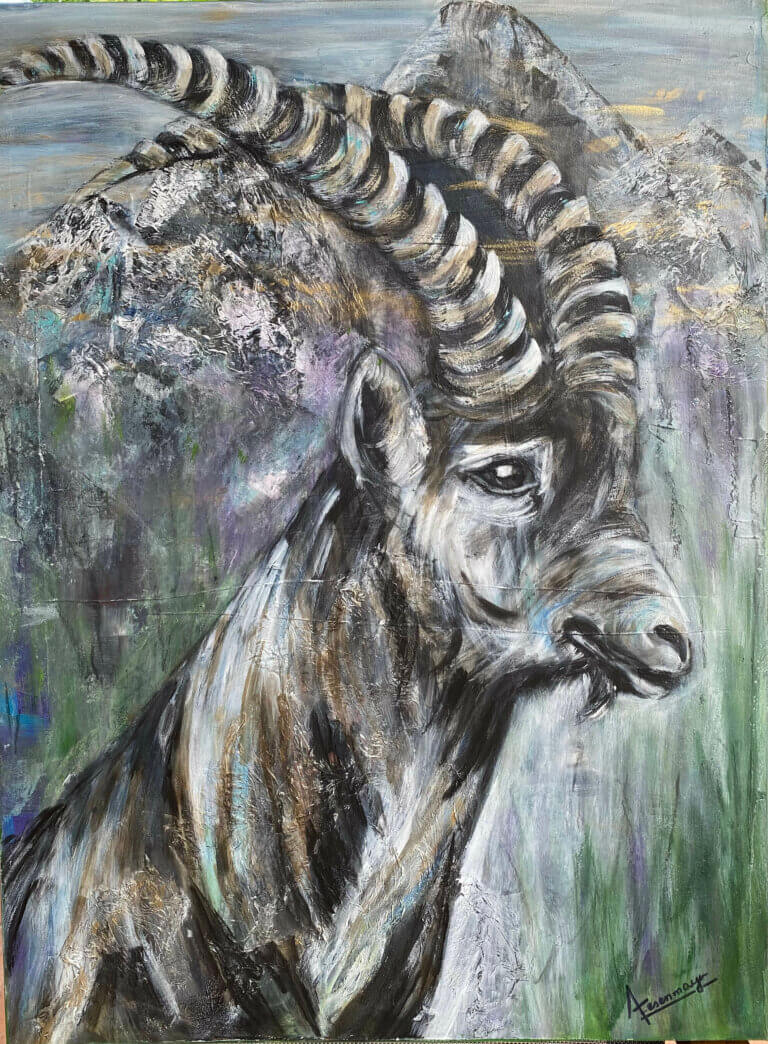 Steinbock im Gebirge