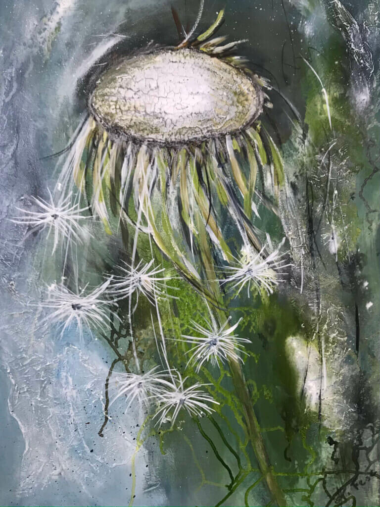 Verblühter Löwenzahn